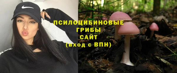 тгк Алзамай