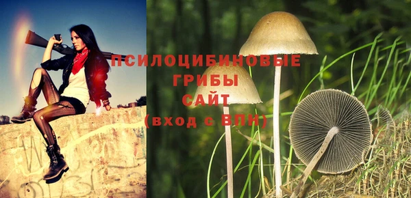 бошки Алексеевка
