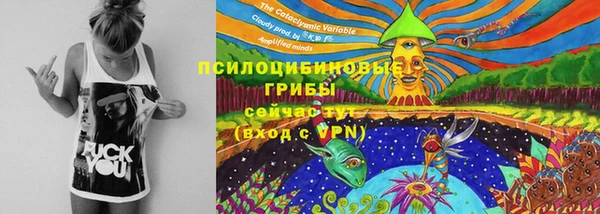 mix Снежинск